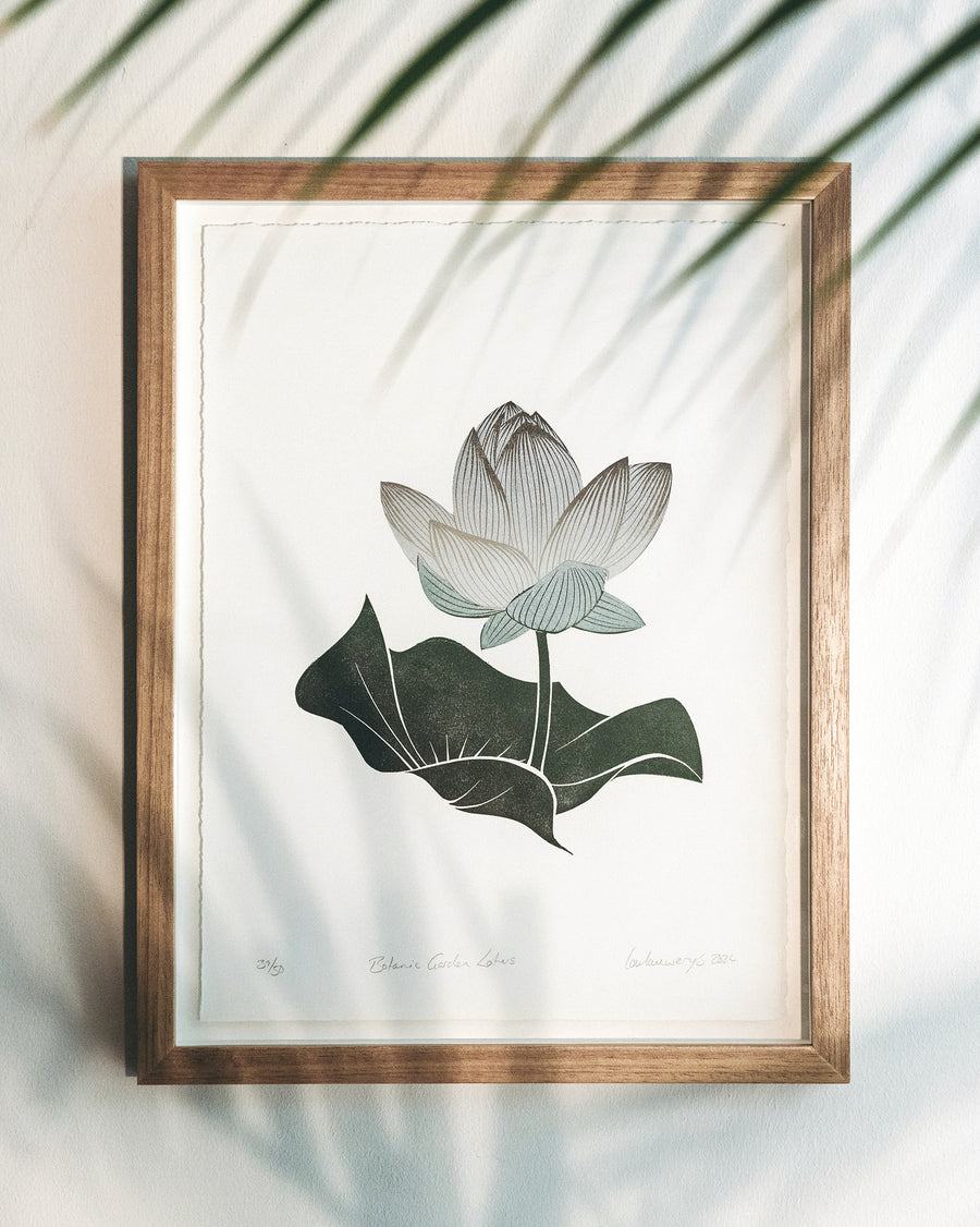 Botanic garden lotus linoprint, original linoprint, lotus flower, nature print, art for the home, home interiors, affordable art, framed and unframed, limited edition