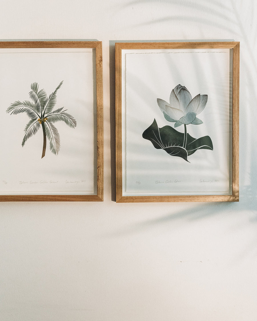 Linoprint collection, original linocut prints, botanic garden lotus, gallery wall, tropical art, gift guide, singapore gifts, handmade, modern home design, bespoke frame, float mounted framed art, limited edition, wall art