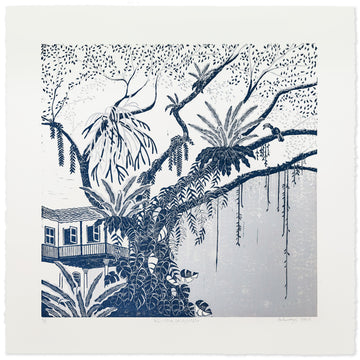 Rain Tree / Midnight Blue