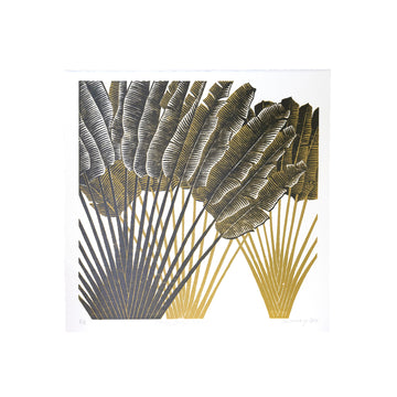 Canopy Study II / Ochre
