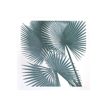 Canopy Study I / Cyan