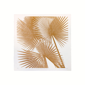 Canopy Study I / Rose Gold