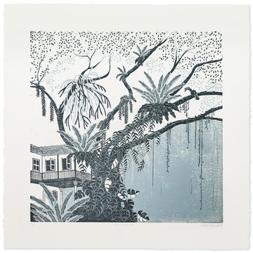 Rain Tree / Teal