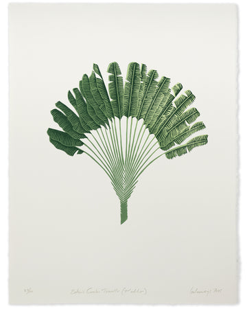 Botanic Garden Traveller