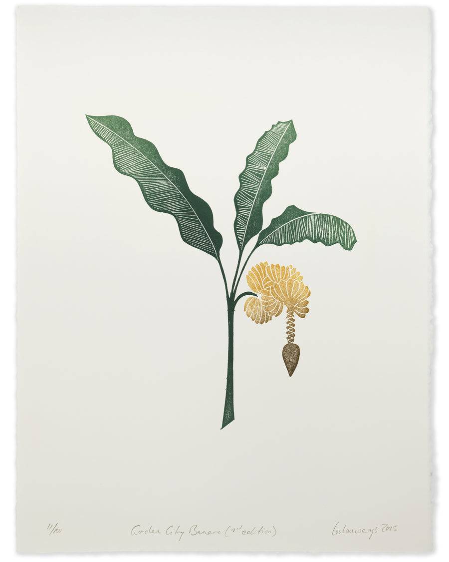 Garden City Banana