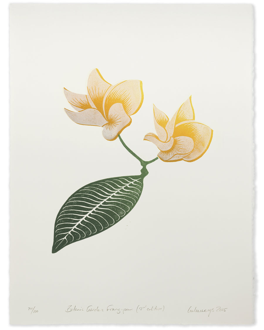 Botanic Garden Frangipani