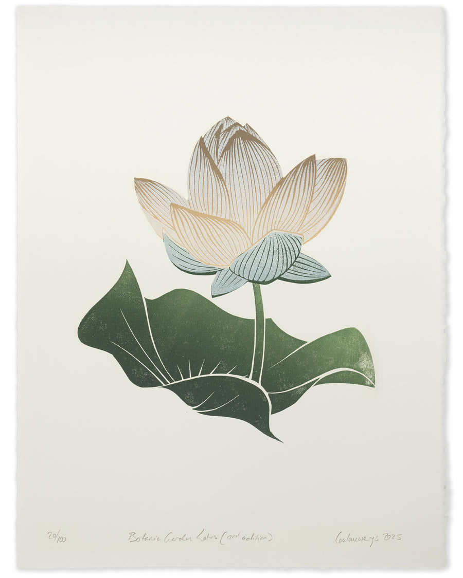 Botanic Garden Lotus