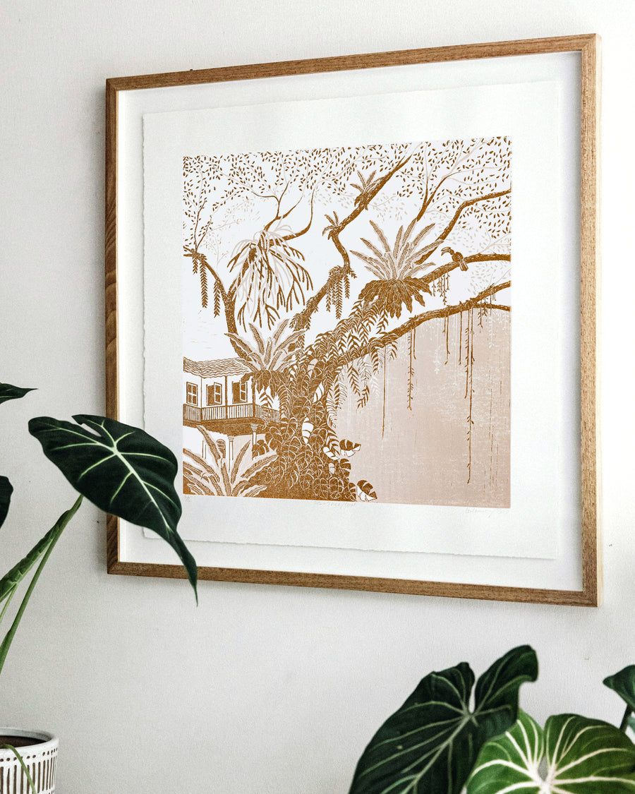 Rain Tree / Coral