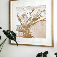 Rain Tree / Coral
