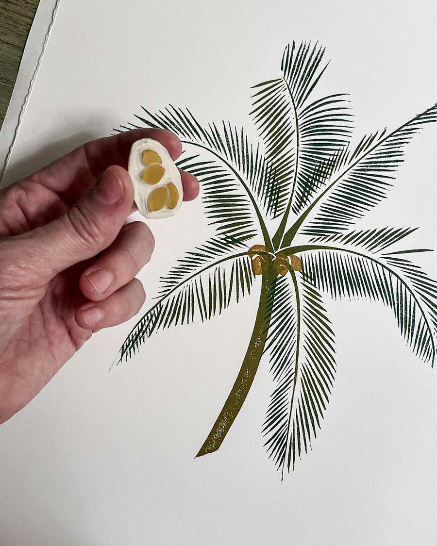 Botanic Garden Coconut (2nd edition)