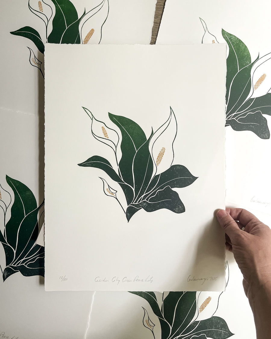Garden City Green Peace Lily