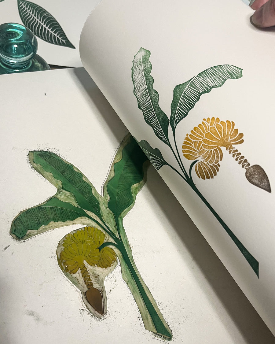 Garden City Banana (2nd edition)