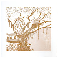 Rain Tree / Coral
