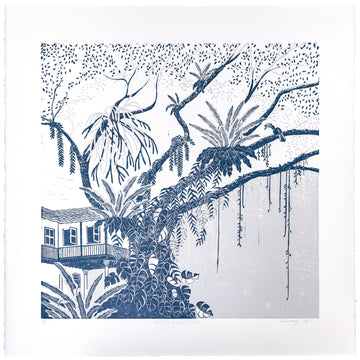 Rain Tree / Midnight Blue