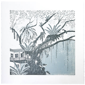 Rain Tree / Teal