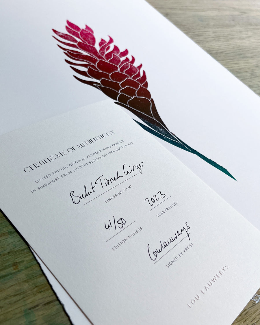 botanic garden botanical orchid palm handcarved handmade gift souvenir wallart homedecor wall decor printmaker printmaking printing print original art certificate authenticity bukit timah ginger
