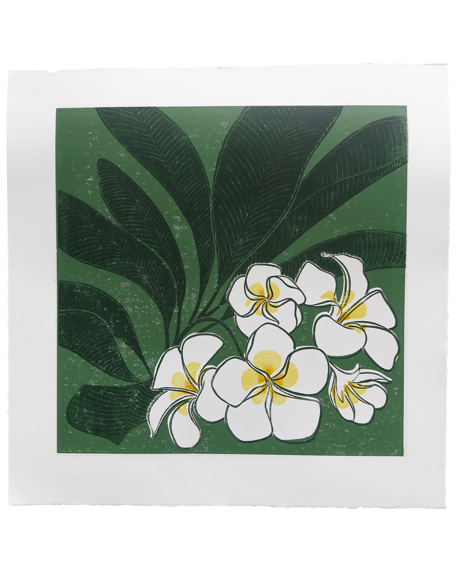 Bloom no.3