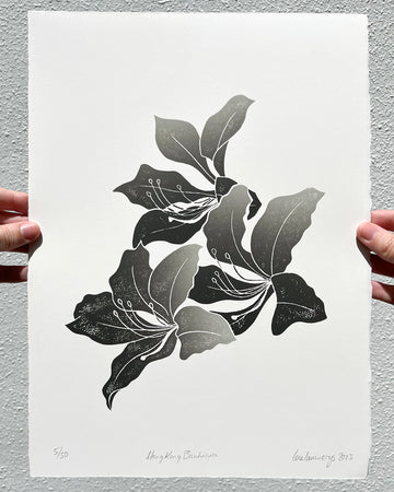 Hong Kong Bauhinia