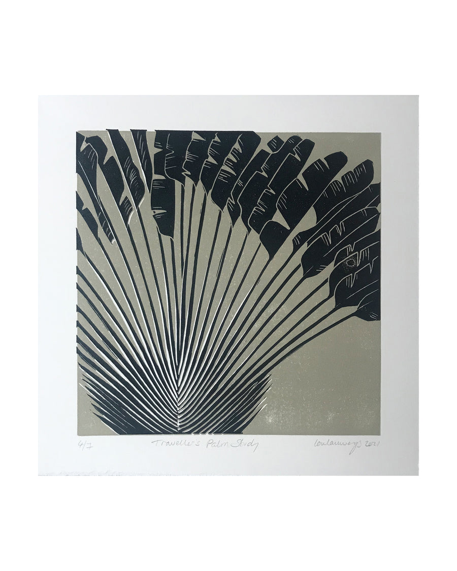 Traveller's Palm Study (7 variations)